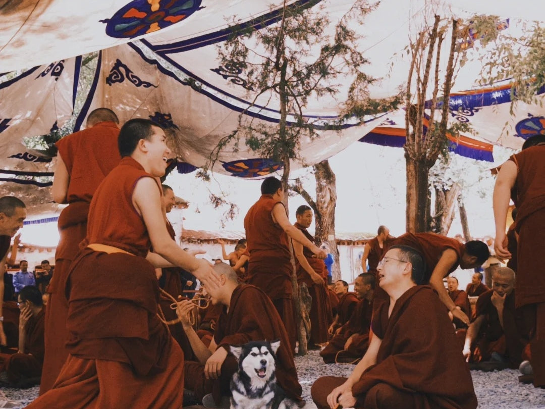 The Legend of Reincarnated Lamas: A Tibetan Story of Compassion and Continuity