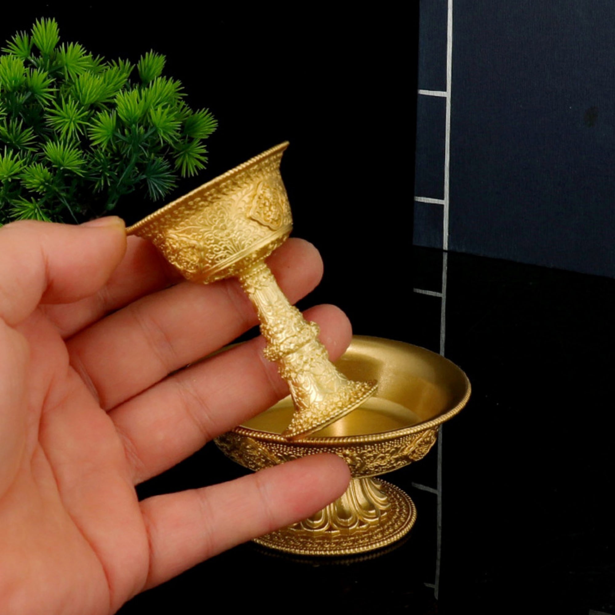 Hand holding a gold decorative item against a dark background with a plant.